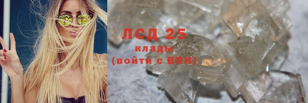 молекула духа Ельня