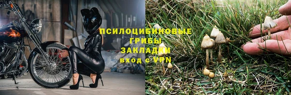 винт Дмитровск