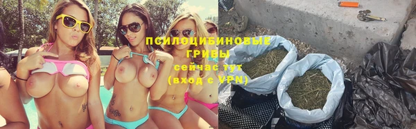винт Дмитровск