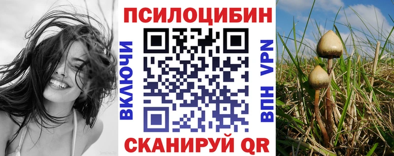 Псилоцибиновые грибы MAGIC MUSHROOMS Сясьстрой